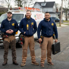 No Shorts Solar Corp..png